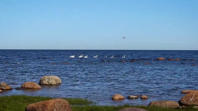 Исследуем мир #22. Вдоль Южного берега Балтийского моря. Пешком 196 км