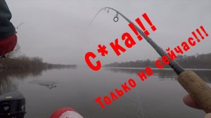 Только не сейчас!!!! Когда не рад рыбе. Плохая примета