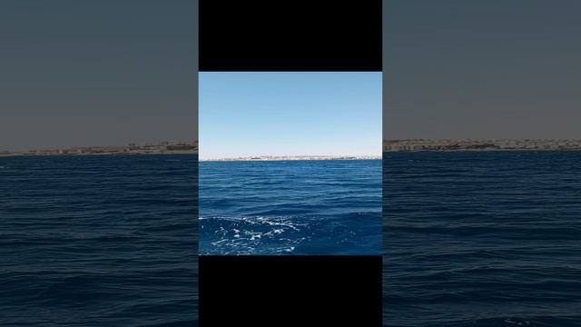 Экскурсия на яхте по Красному морю. Египет. Июль 2023.