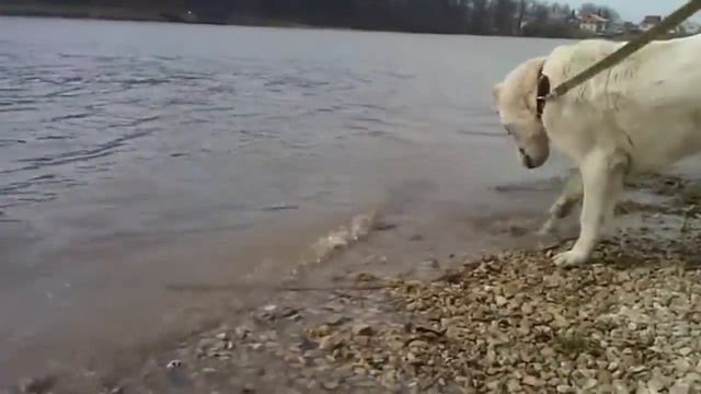 Сараби_Лови волну смотреть онлайн