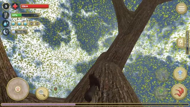 НОВАЯ ИГРА СИМУЛЯТОР БЕЛКИ 2 ОНЛАЙН смотреть онлайн