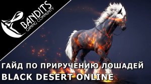 Гайд как приручать диких лошадей в Black Desert Online