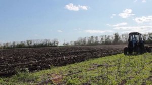 Дискование поля МТЗ-80.1 с тяжелой бороной БДТ-7(без крыльев)в том числе трудного пырейного участка