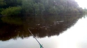 Объяснение снасти на фидер