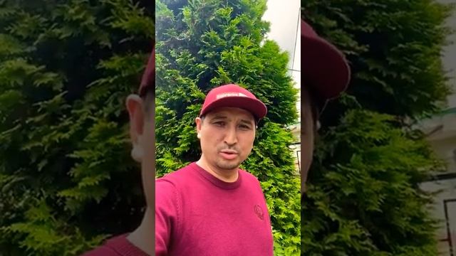 Красавчик . (Кыргыз-Таджик) дружба. смотреть онлайн