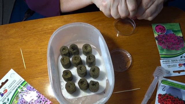 2023 Первые посевы петунии в минерало ватные пробки смотреть онлайн