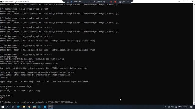 Install Wordpress In Docker смотреть онлайн