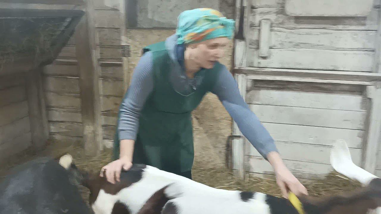 У НАС ХОЗЯЙСТВО РАСТЕТ КАК НА ДРОЖЖАХ