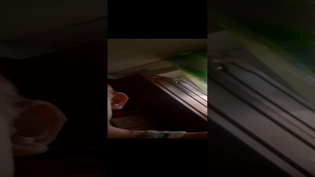 2 песня прожизнь меня