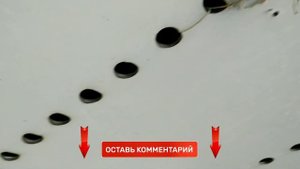 Как заправить холодилку по "окошку". Цыплятовоз заправка и ремонт Webasto.
