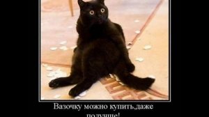 Только лучшие картинки Ай Да Прикола(РЖК).нбм