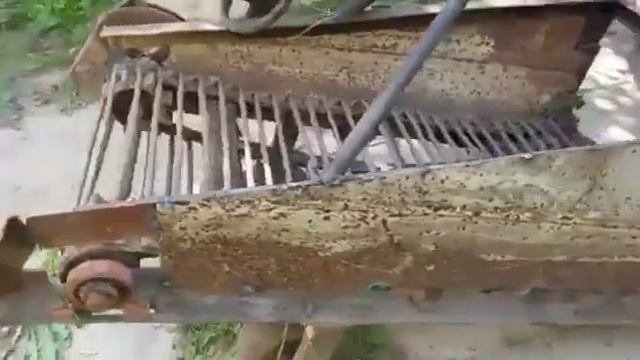 Транспортёрная картофелекопалка