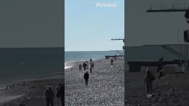 Лазаревское. Сочи. Сегодня 20 декабря 2023. Обстановка на пляже море и погода зимой на юге