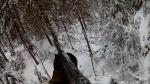 охота на зайца беляка с РПГ 8 месяцев.2 зайца.