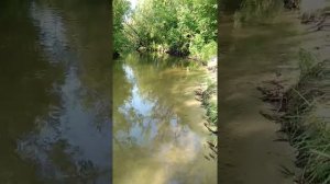 Река Ведуга. Воронежская область