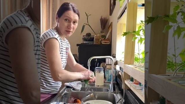 Моем посуды без химии