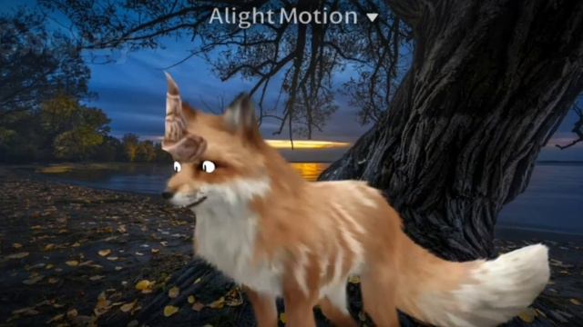 wcmv "Белая ночь" смотреть онлайн