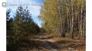 Охота в Белгородской области – GetHunt Белгород охота на Благородного оленя Европейского