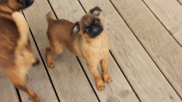 MVI 9342 смотреть онлайн