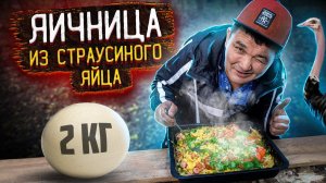 НЕВЕРОЯТНАЯ ЯИЧНИЦА из СТРАУСИНОГО ЯЙЦА от КИШКОБЛУДА