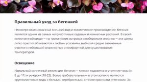 Бегония: Виды и уход, БОЛЕЗНИ И ВРЕДИТЕЛИ.