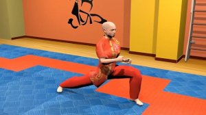 Боевая гимнастика. Ушу. Комбинации базовых упражнений. Часть 1