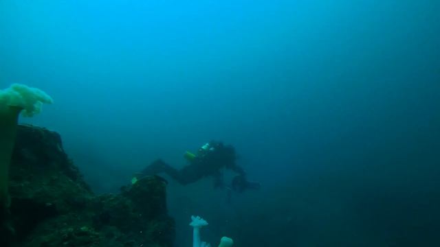 Scootering through South Monastery смотреть онлайн