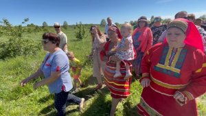 Частушки под гармонь