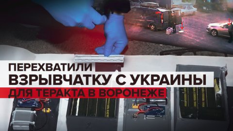 В Грузии пресекли попытку перевозки взрывчатки с Украины в Россию — видео