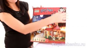 Harry Potter  Нора Уизли 4840