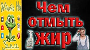 Чем отмыть въевшийся жир? #азилит