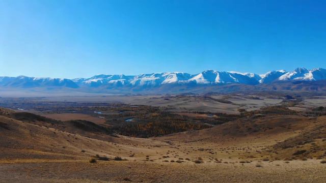 SILENZIUM Anthem Of The World (Stratovarius cover)| Вдохновляющий гимн Мирозданию! смотреть онлайн