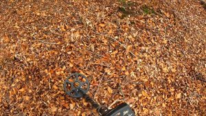 Troy Shadow X5 Ground Balance and Iron Test