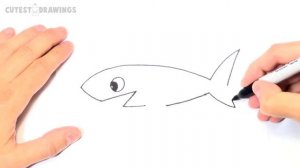 How to draw a Shark Step by Step | Shark Drawing Lesson