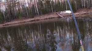 Ловля чебака на поплавочную удочку. День третий.