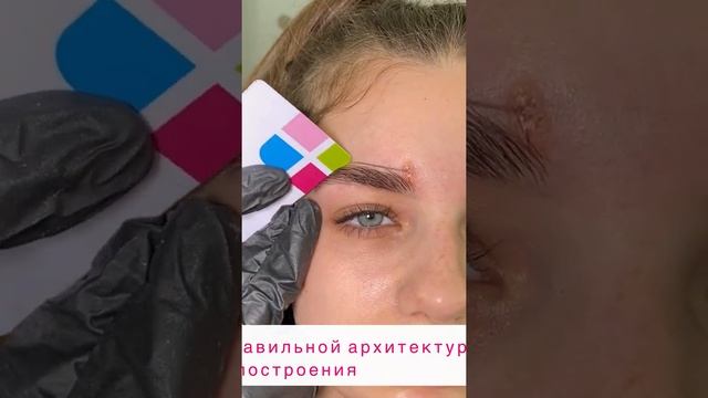 Курс "Бровист PRO 1.0"