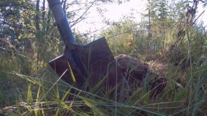 ? Коп с металлоискателем Minelab Go Find 20. Монетная Горка!