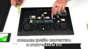 Как заменить HDD на SSD? В чем их отличие?