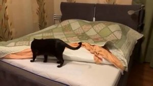 Видео отзыв о матрасе Honnemed Health