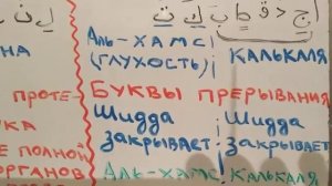 """Шидда,рахава,тавасут""" качества букв