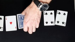 иллюзии #фокусникспб #иллюзияобмана #магия #фокусникнапраздник #фокусникнасвадьбу #шоуспб