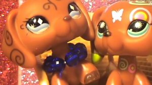 LPS : Задания для игры "Правда или действие" 猫