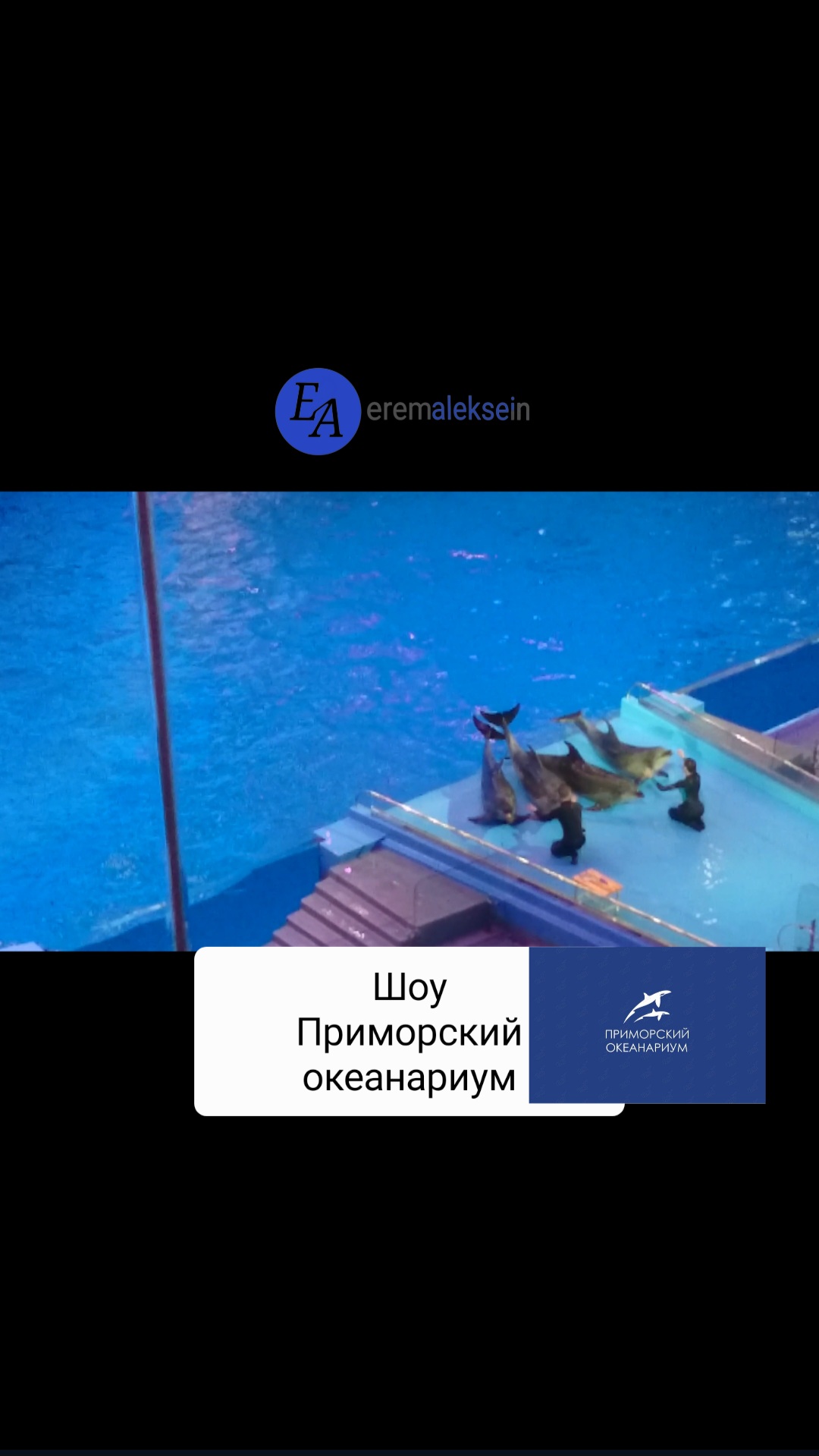 Шоу Приморский океанариум / Животные