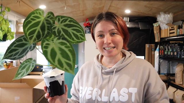 DAY IN LIFE VLOG//Packing plant orders/NZ small buisness vlog смотреть онлайн