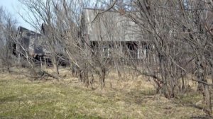 Не жалею, не зову, не плачу Песня на стихи Есенина