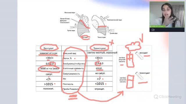 Разбор медицинских анализов | Пропедевтика внутренних болезней
