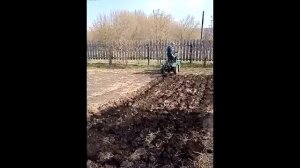 Вспашка минитрактора Топтыга двухкорпуным плугом