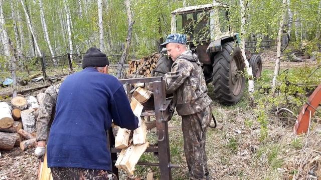Береза