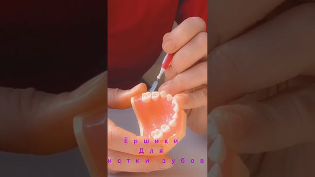 Профчистка зубов