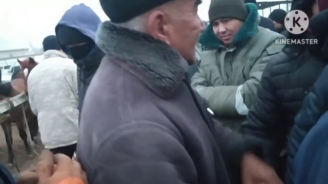 МАЛ БАЗАР 2023 | КЕЛЕС АБАЙ МАЛ БАЗАРЫ | БҮГІНГІ МАЛ БАЗАР БАҒАЛАРЫ